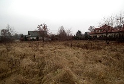 Zdj�cie z budowy 1