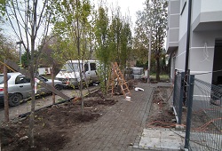 Stan obecny budowy 2