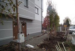 Zdj�cie z budowy 20